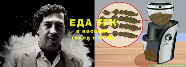 индика Корсаков
