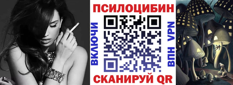 Псилоцибиновые грибы Psilocybe  Ладушкин 